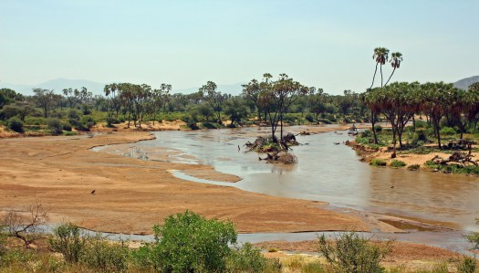Вокруг Кении за 20 дней - Самбуру