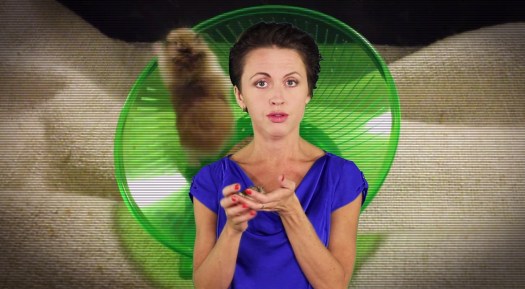 Первый эксперимент животных над человеком, пытающимся объяснить прокрастинацию на хомячках