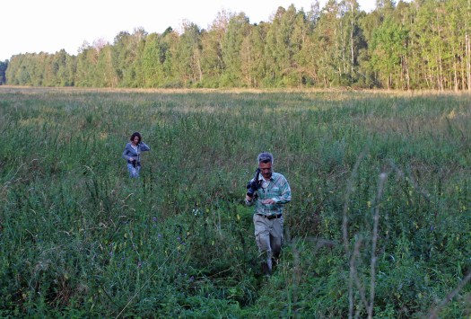 За зубрАми два дня мотались по заповедной дали