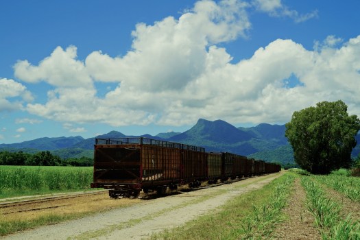 Фрагментация среды обитания - плантации сахарного тростника на севере Австралии